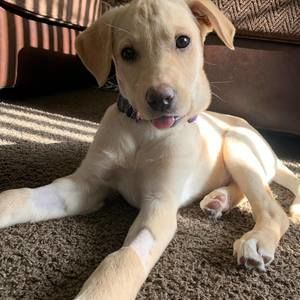 Meet your Posher, Katie